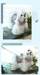 ★ JunyBell 펫 뷰티 패션 브랜드샵 쥬니벨 Pet fashion beauty shop JunyBell♥ | 애견, 패션