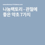 관절에 좋은 약초 7가지 | 약초, 건강