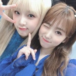 Pin by 꾸라 on 옌 in 2023 | Yuri, Sakura