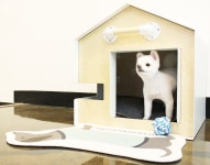 Together Design (투개더디자인)    Industrial house     A companion house    인더스트리얼 디자인   반려동물 하우스    반려동물... 