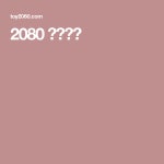2080 성인용품