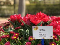 Suncheon(순천)에 있는 2third m님의 핀