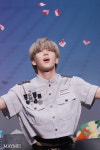 #에이스 #ACE