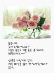 Pin on 행복한 날