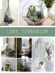 Créer un joli Terrarium | 정원 가꾸기, 테라리움, 식물