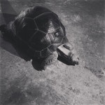 예림이... | Seulgi, Instagram, Instagram update