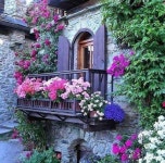 All things bright and beautiful.... | Janelas | Pinterest | 창문, 정원 및 아름다운 집 Janelas