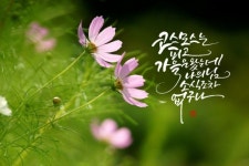 #부천캘리#중동캘리#하남캘리#강동캘리#광주캘리#캘리배우기#캘리특강#원데이수업#하남수채캘리 | 간단한 그림, 배경