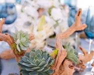 057__IM_7711.jpg | 해변