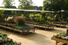 천상의꽃집(Heavenly flowers house) | Squires Garden Centre Twickenham | 꽃집