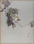 Watanabe Seitei - Birds on a Branch. | 새 그림, 새, 그림