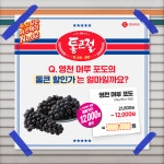 통크게 쏟아지는 롯데마트 혜택 ⠀  Q.영천 머루 포도의 ... 롯데마트,lottemart,신선식품,세일,포도,머루포도,할인,특가,장보기스타그램... 