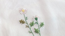 구절초 자수,야생화자수, Wild flower embroidery | 자수