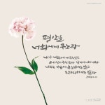 [말씀 배경화면] 평안을 (요한복음 14장 27절) | 배경화면, 성경 구절, 성경