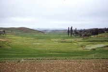 1953년 수원에서 미군으로 근무한 로버트 리 월워스 씨가 수원화성과 개발되지 않은 주변 도시의 자연스러운 풍경, 아이들의 모습을 사진으로... 