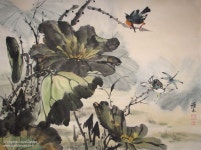 Chinese brush paintings of bamboo, grapes, lotus and birds by Virginia Lloyd-Davies of Fairfield, VA | 그림, 한국화, 연꽃