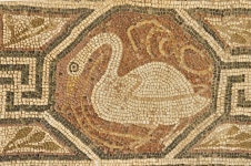EUROPE, Macedonia, Bitola, Heraclea Lyncestis archaeological site, mosaic detail in the Great Basilica, a swan. Roman period.... 