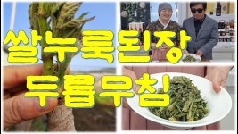 발효 식품에 있는 화선 박님의 핀 - 2023 | 발효