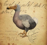 ART에 있는 정원 박님의 핀