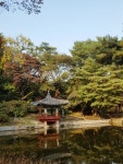 Changdeokgung Palace Secret Garden - Seoul, 2018 | 도자기