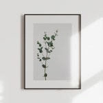 여름, 바라만 보아도 | 레이아웃, 그림