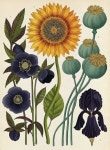 「craft」おしゃれまとめの人気アイデア｜Pinterest｜죽전탑클래스 창조의아침 미술학원 | ボタニカルイラストレーション, 花 絵, ひまわり