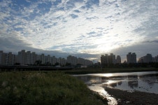 갑천 (대전, Daejeon) | 장소