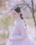 Hanbok 2에 있는 핀