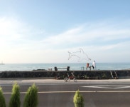 #JEJU ISLAND #카페 공작소  #세화 #제주 | South korea, Korea, South