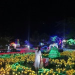 Instagram의 효은이(hyoeuni)️️님: “#제주#불빛정원#인생사진관” | 의