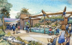 Phoenix Zoo - Entry Oasis - WDM Architects | 동물원, 아쿠아리움, 수족관