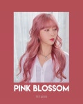 Book  Layout에 있는 葉小妖 (葉蘊儀 Yun-Yii Yeh)님의 핀 - 2020 | 화려한 헤어, 헤어스타일, 머리색