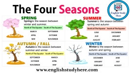 The Four Seasons(이미지 포함)