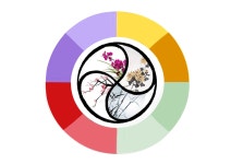 Theme 사군자 Group 6 Color Board