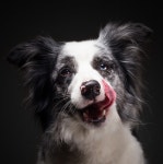 Puppy에 있는 Jfd Zpijfd님의 핀