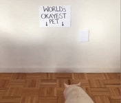 Jinbok Jung님의 유머 humor 이미지 | 프리, 유머