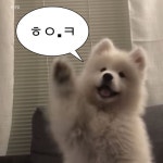 내가 만듦11 | 재미있는 고양이 밈, 강아지 밈, 아기 동물 그림