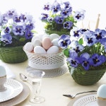 pansies-center-pieces-mld107426_sq.jpg (1333×1333) | 팬지, 디자인