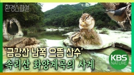 ‘금강산 남쪽 으뜸 산수’ 속리산 화양계곡의 사계 [환경스페셜-화양계곡 봄·여름·가을·겨울] / KBS 20040225 방송 - YouTube - 2023... 