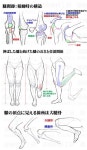 「크로키」おしゃれまとめの人気アイデア｜Pinterest｜Son | 美術解剖学, スケッチのコツ, アートリファレンス