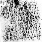 t117 B texture 김지혜 36