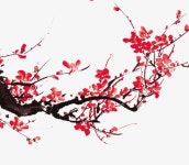 Pin on 사군자