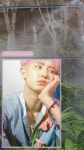 Pin by 𝐡 𝐚 𝐧 𝐞 𝐲 🍯 on ❦┆찬열  /  y e o l l i e | Park chanyeol, Chanyeol, Wallpaper