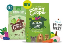 Home visual | 간식, 애견