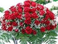 권진주님의 Bouquet 이미지