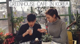 🌿 Unique GREENHOUSE CAFE in Korea & Cat Fair (자막)궁디팡팡마켓 & 온실하우스 카페 국제커플의... (With images)... 