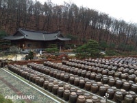 Lunch in Sejong City at Dweeungbak (뒤웅박) | Great restaurants, Korean food, Lunch