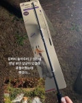 오늘의 일기 큰언니가 나 놀아줄려고 고양이 낚시대를 샀다. 집 가다가 냥이를... | Plush pet bed, Pet bed, Pets