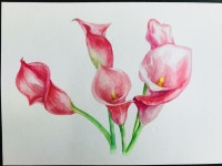 #수채일러스트 #꽃수채 #sonart#손아트
