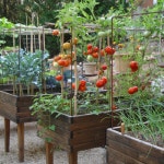 Taula de cultiu per a horticultura urbana | 정원 가꾸기, 텃밭, 정원